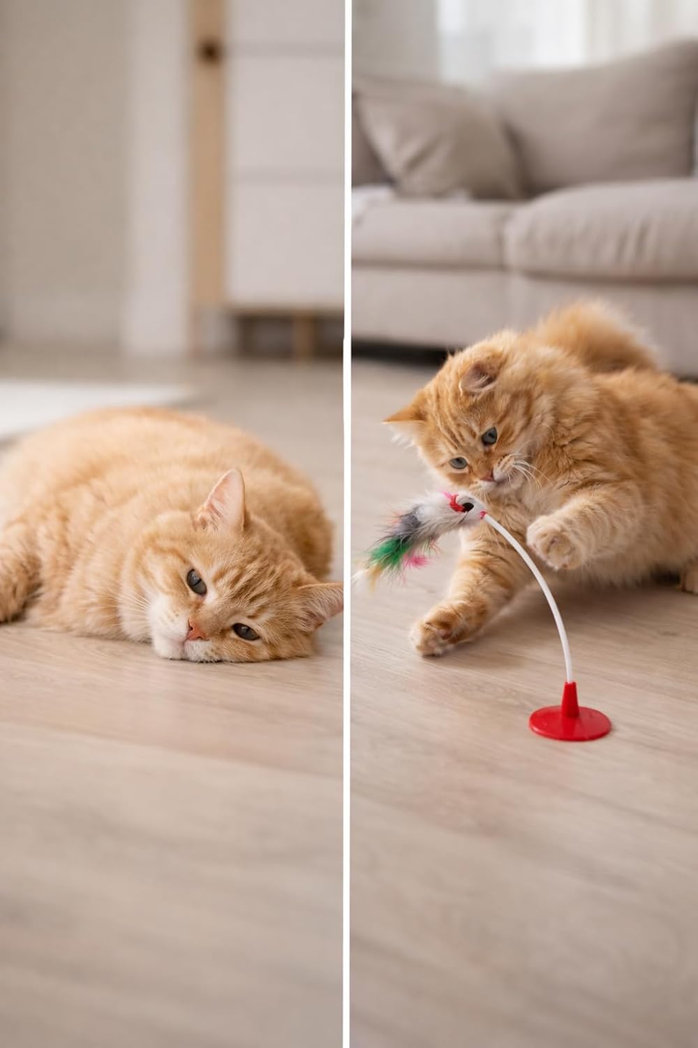 BlueToy Eğlenceli Kedi Oyuncağı