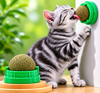 Kedi Nanesi Duvar Topu – Kedinizi Eğlendirin ve Stresini Azaltın 😻